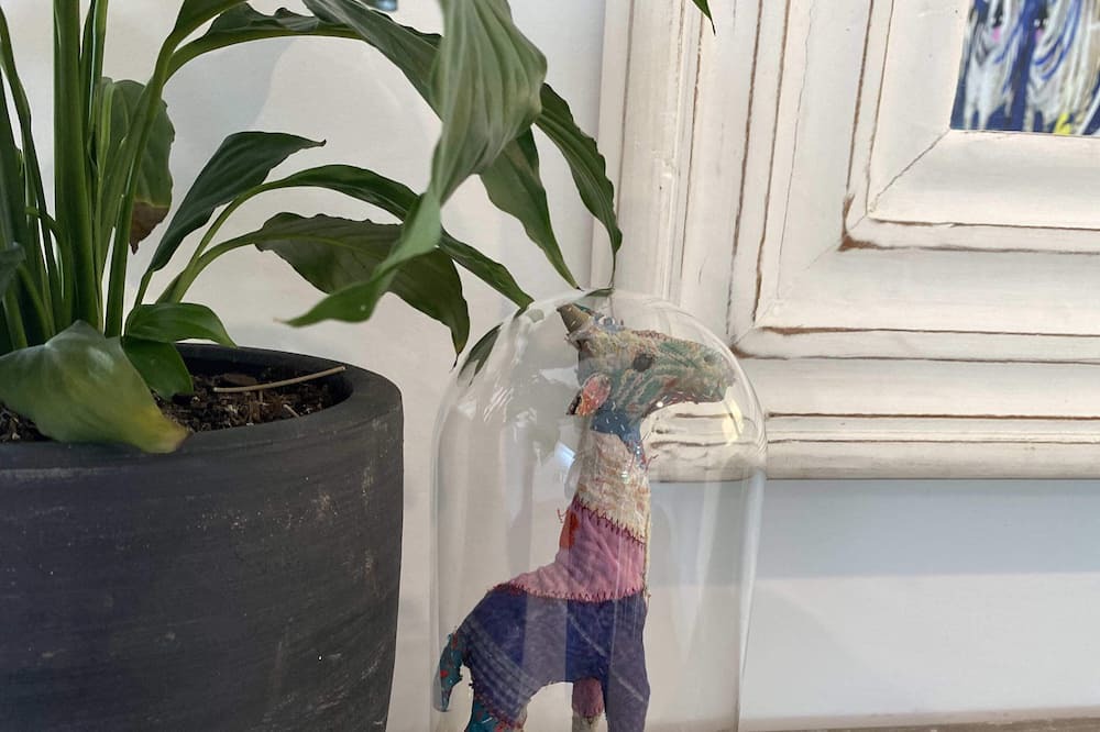 Photo of Others in Orange