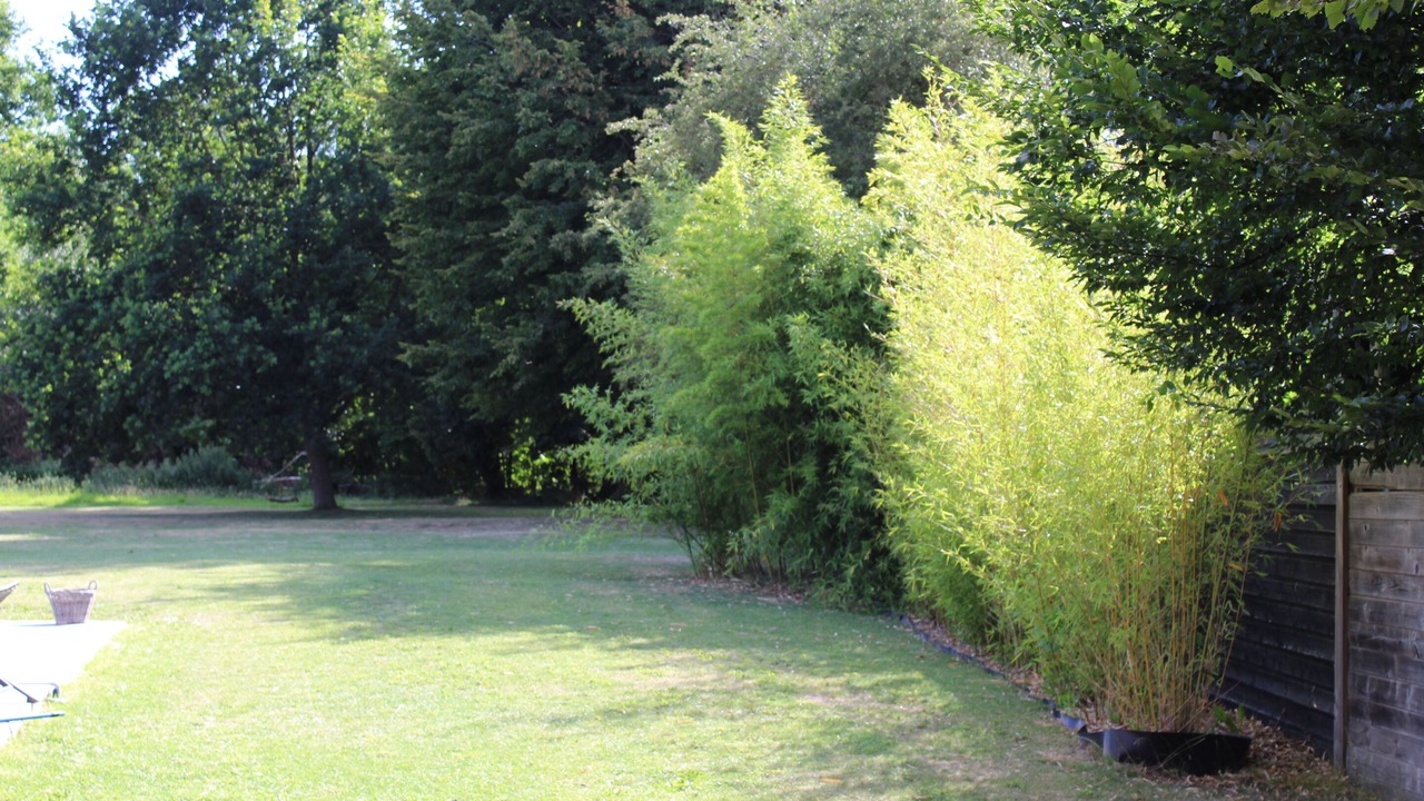 Photo of Outdoor in Neuve-Chapelle