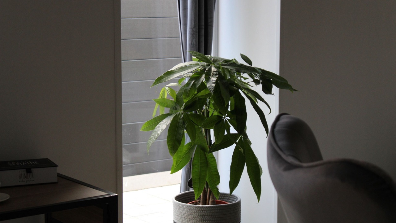 Photo of Bedroom in Neuve-Chapelle