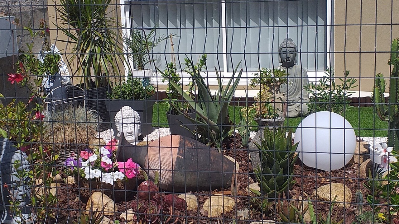 Photo of Outdoor in Le Boulou
