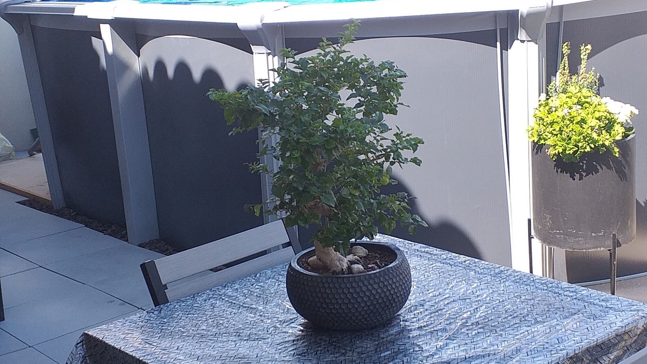 Photo of Patio Balcony in Le Boulou