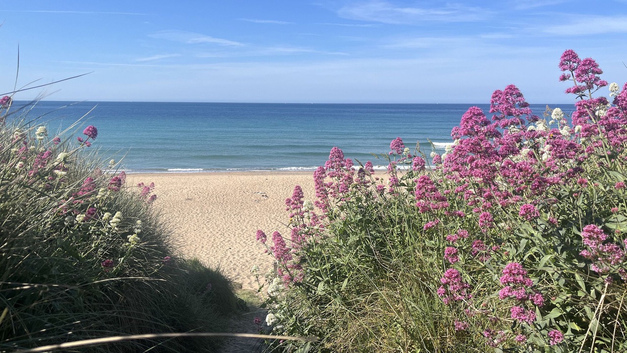 Photo of Others in Praa Sands