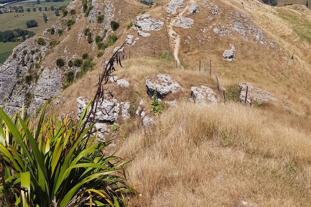 Photo of Outdoor in Bay View