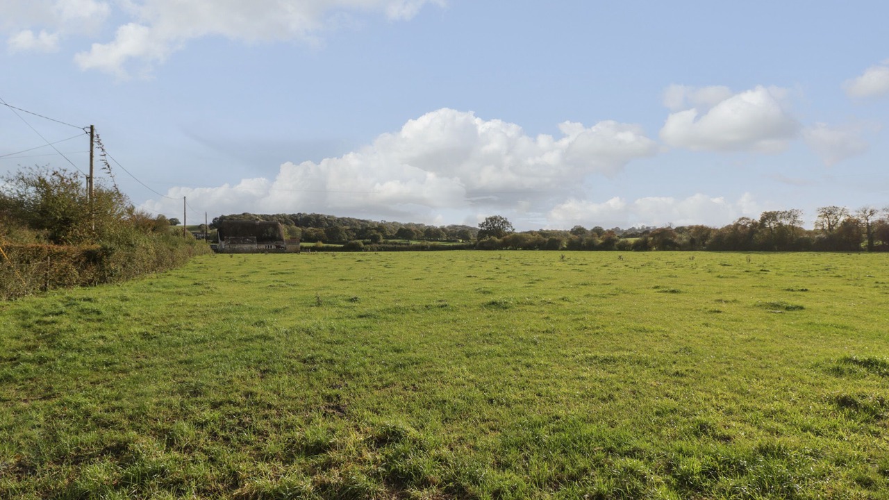 Photo of Others in Sherborne