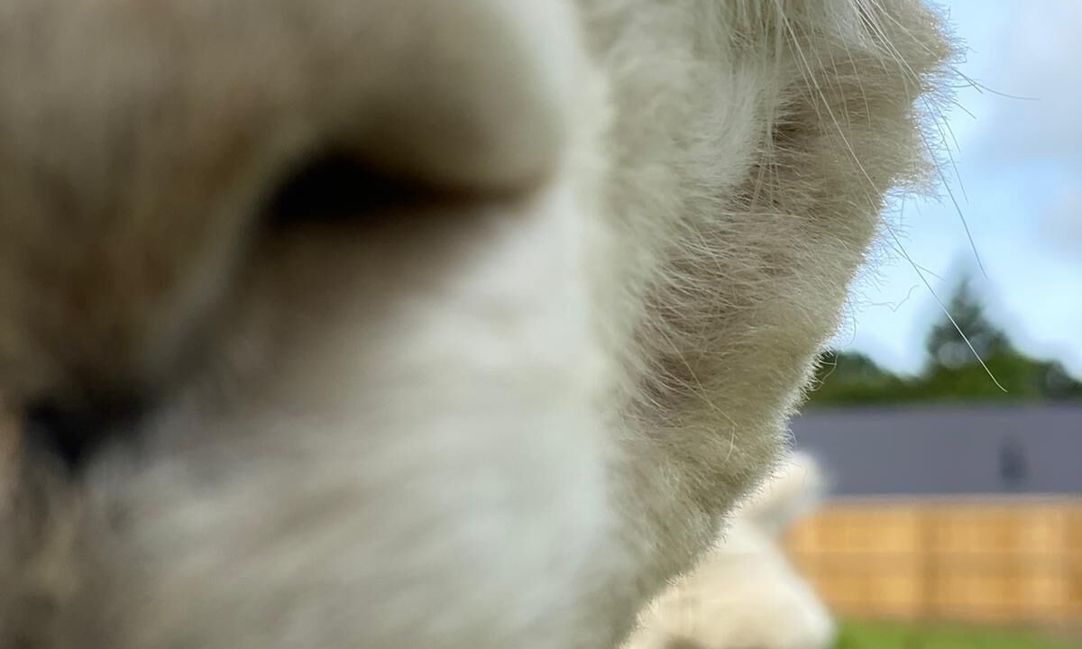 Photo of Outdoor in Tenby