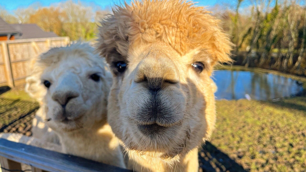 Photo of Outdoor in Tenby