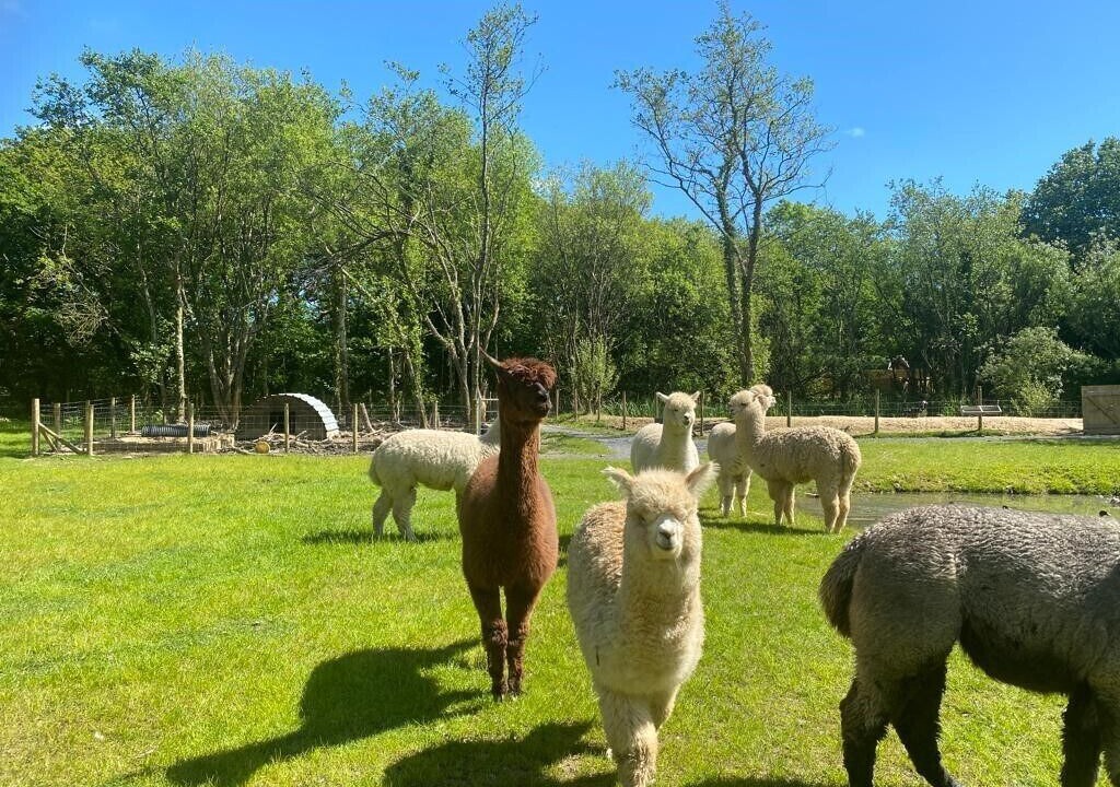 Photo of Outdoor in Tenby