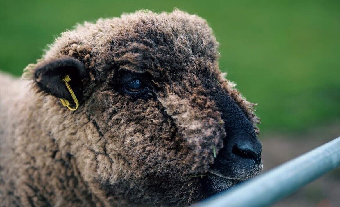 Photo of Outdoor in Tenby