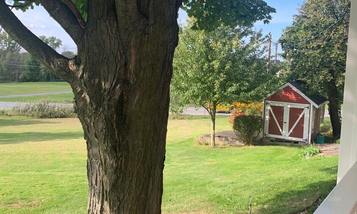 Photo of Outdoor in Penfield