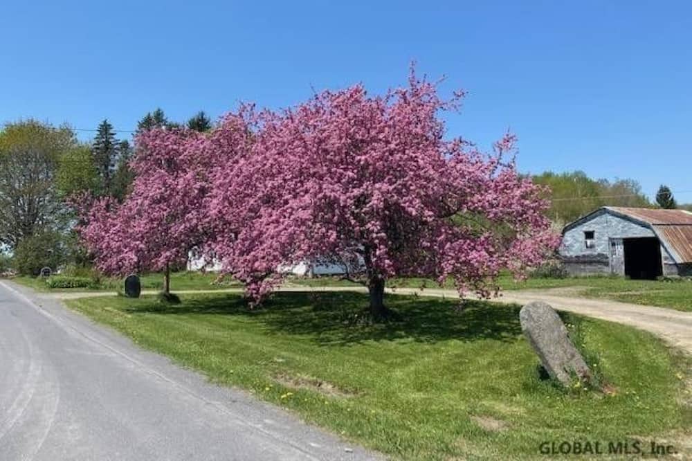 Photo of Outdoor in Jefferson