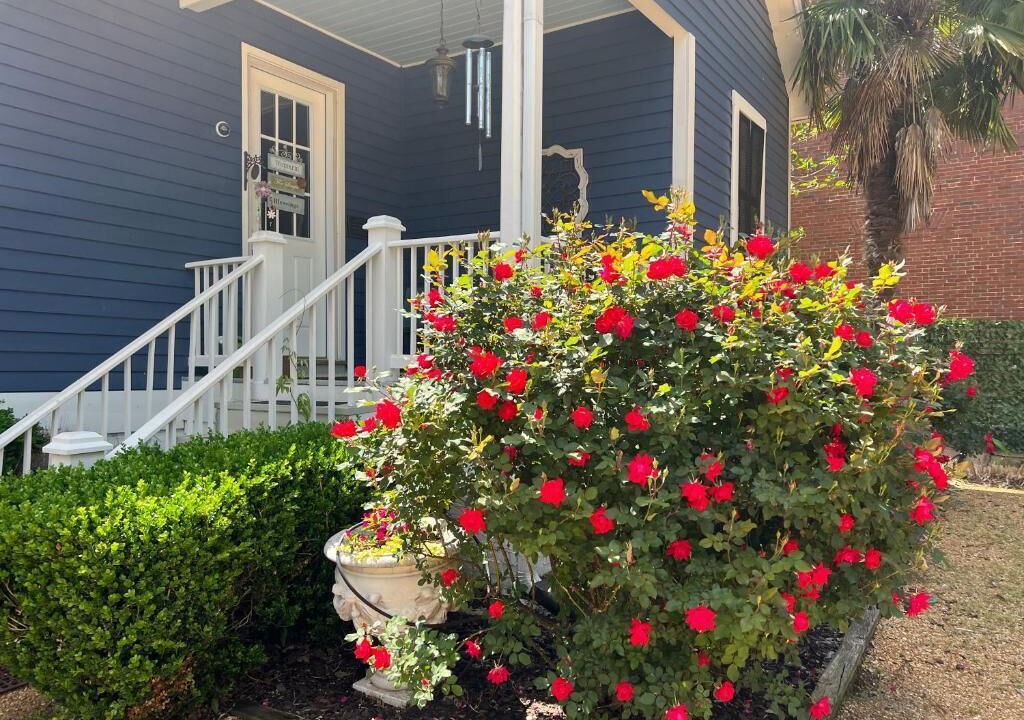 Photo of Outdoor in Natchez