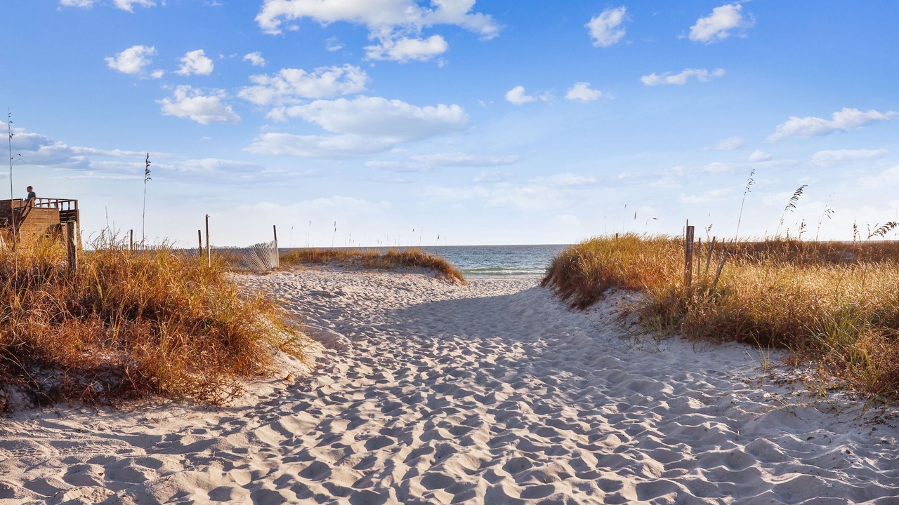 Photo of Others in Panama City Beach
