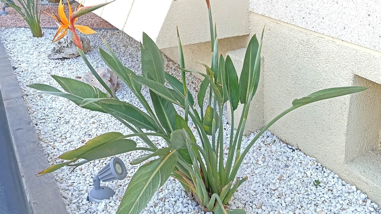 Photo of Outdoor in Parc de Mont-roig