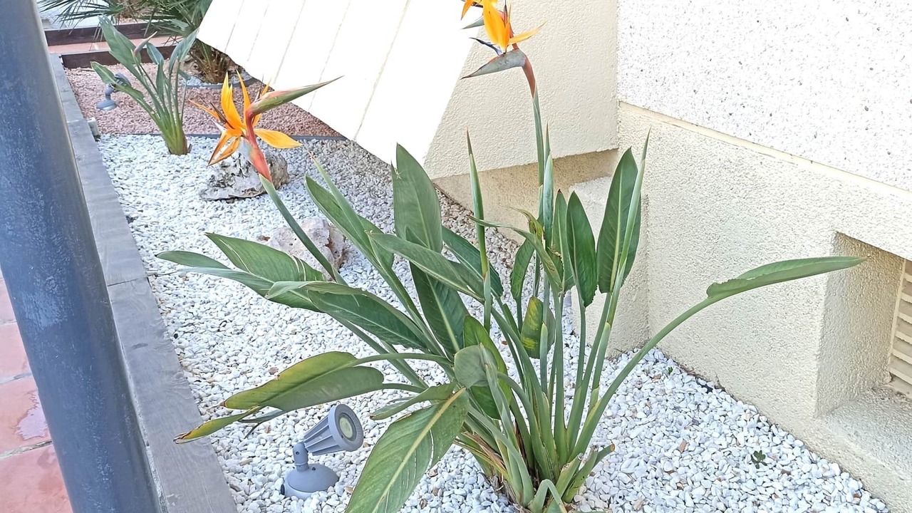 Photo of Outdoor in Parc de Mont-roig
