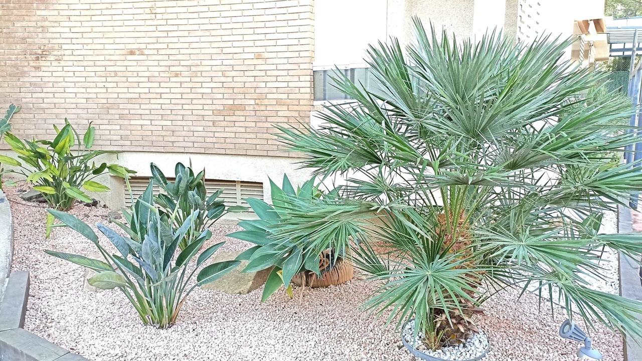 Photo of Outdoor in Parc de Mont-roig