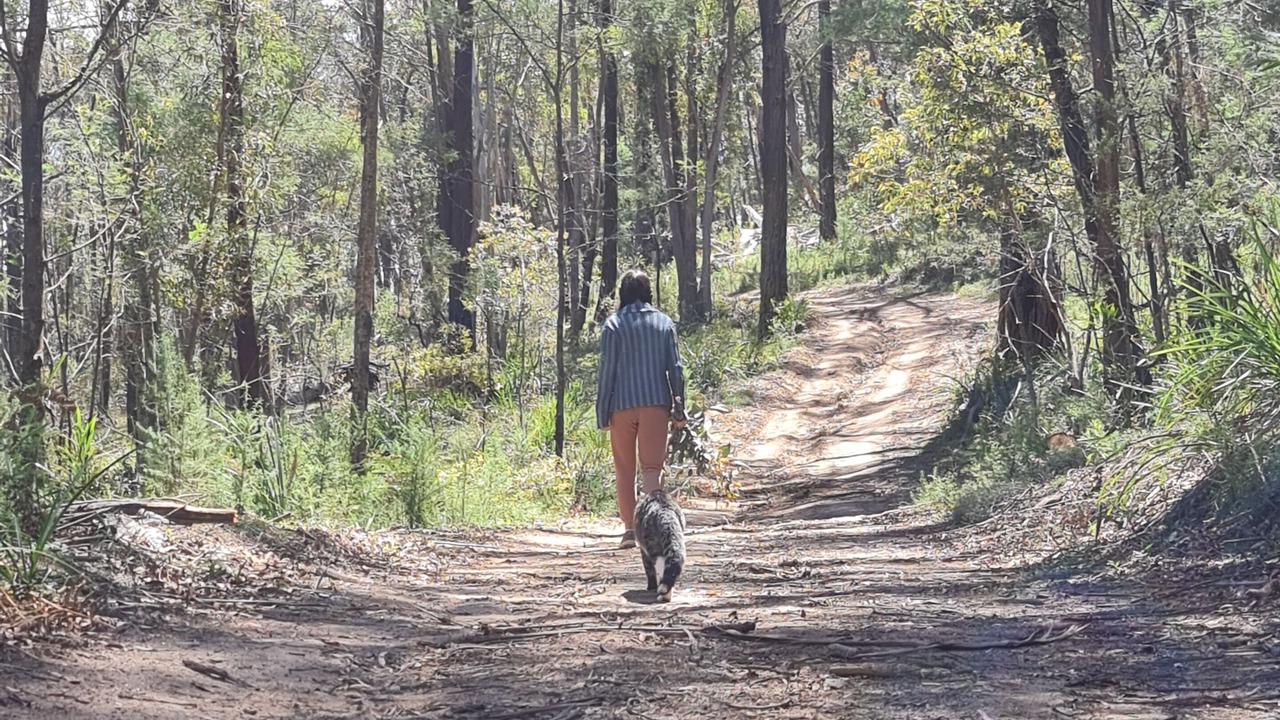 Photo of Outdoor in Canyonleigh