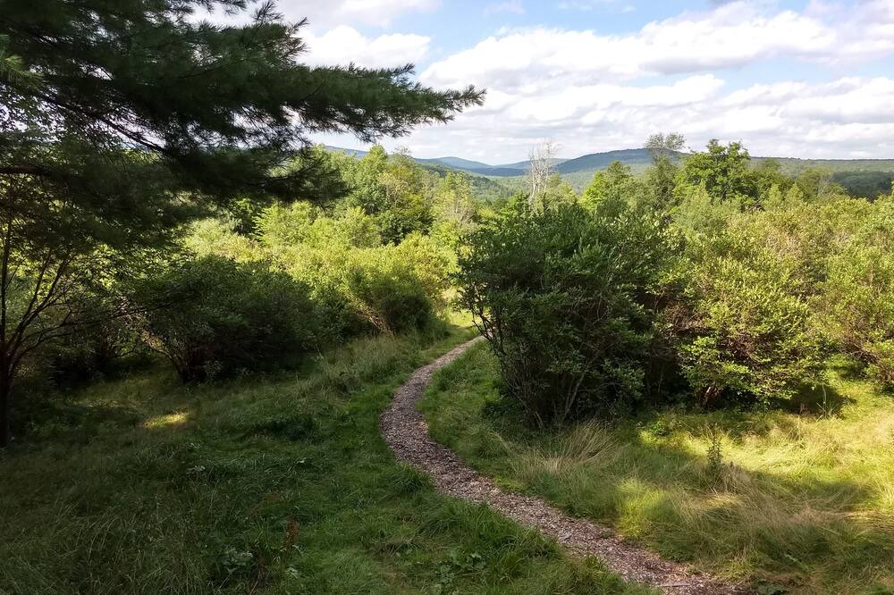 Photo of Outdoor in Parksville