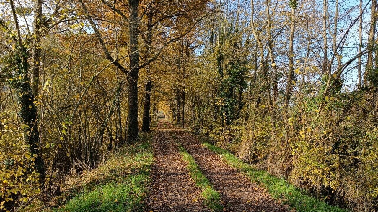 Photo of Outdoor in Saint-Bonnet-de-Four