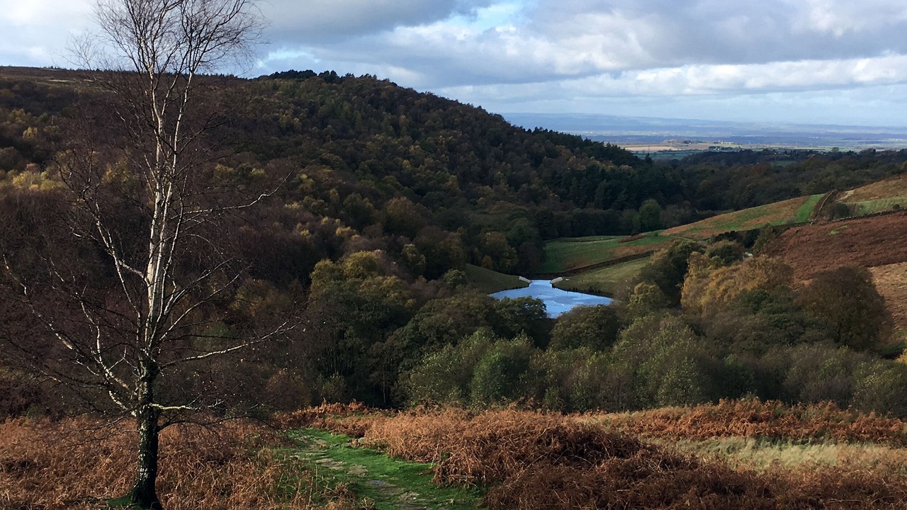 Photo of Others in Osmotherley