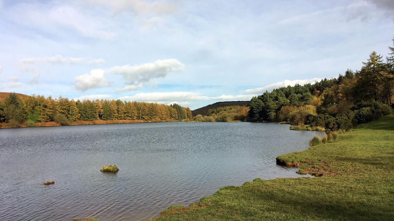 Photo of Others in Osmotherley