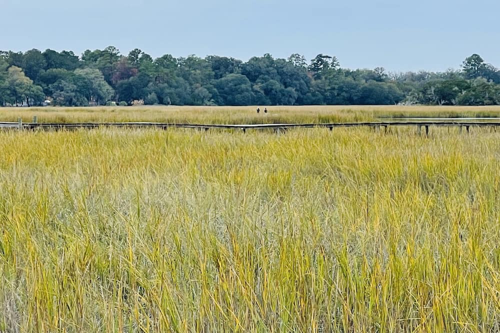 Photo of Others in Townsend