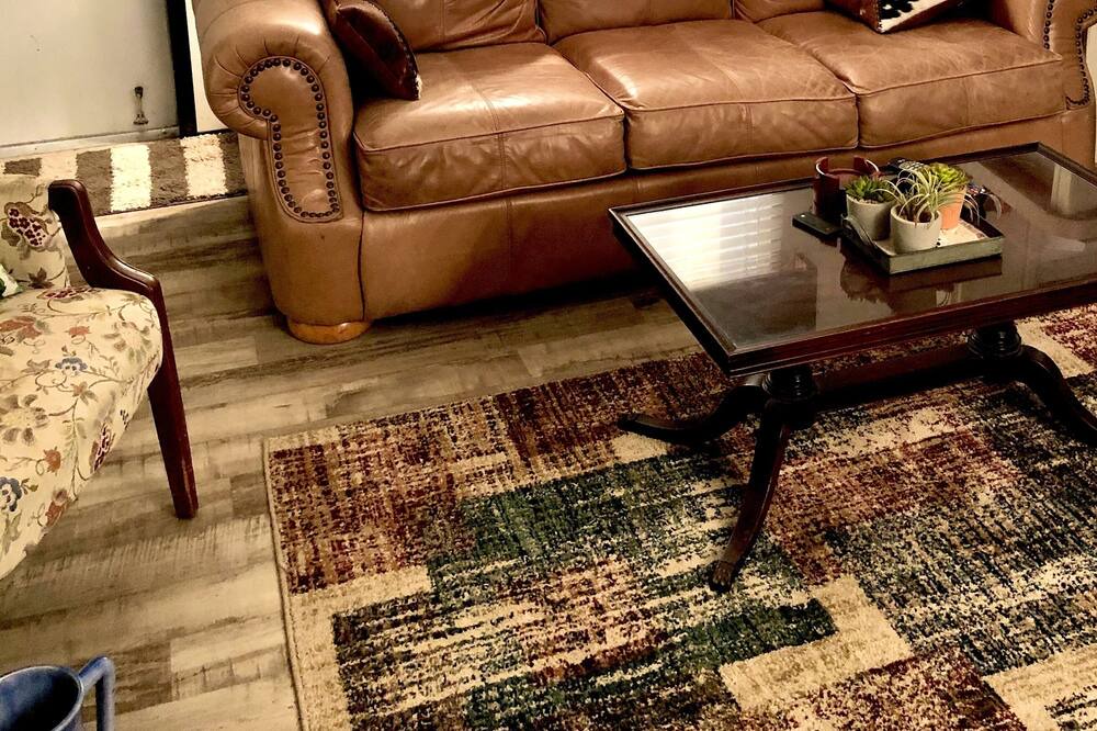Photo of Livingroom in Hondo
