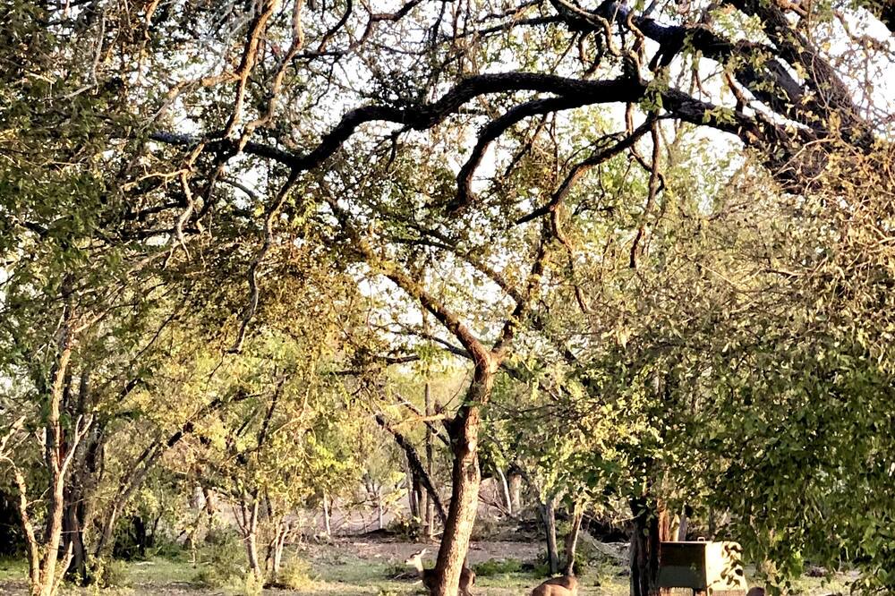 Photo of Outdoor in Hondo
