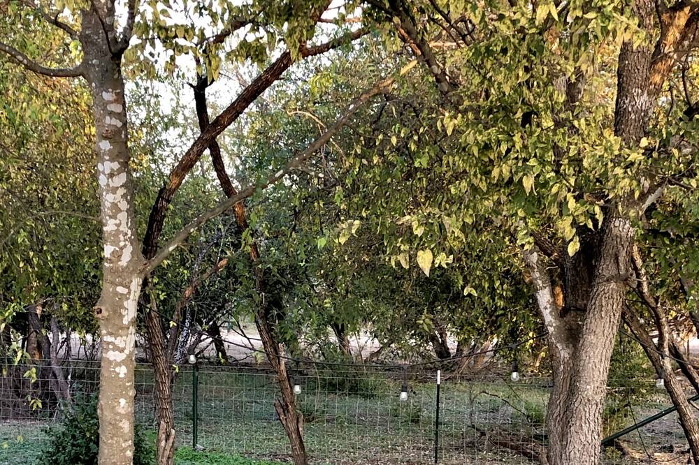 Photo of Outdoor in Hondo
