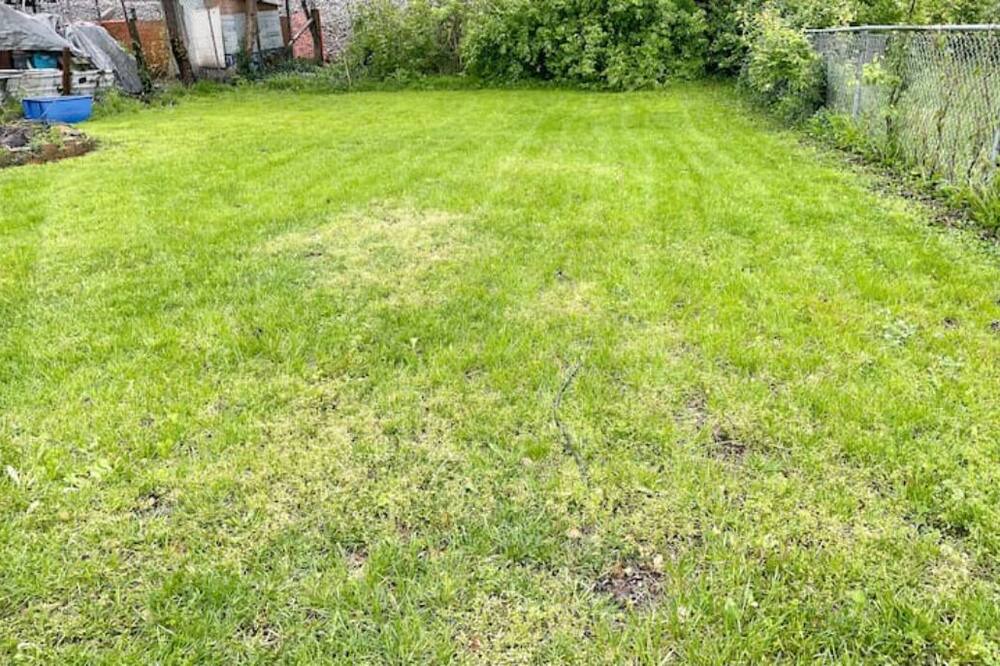 Photo of Outdoor in Franklin