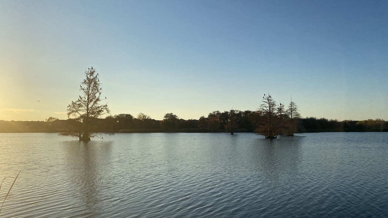 Photo of Others in Buda
