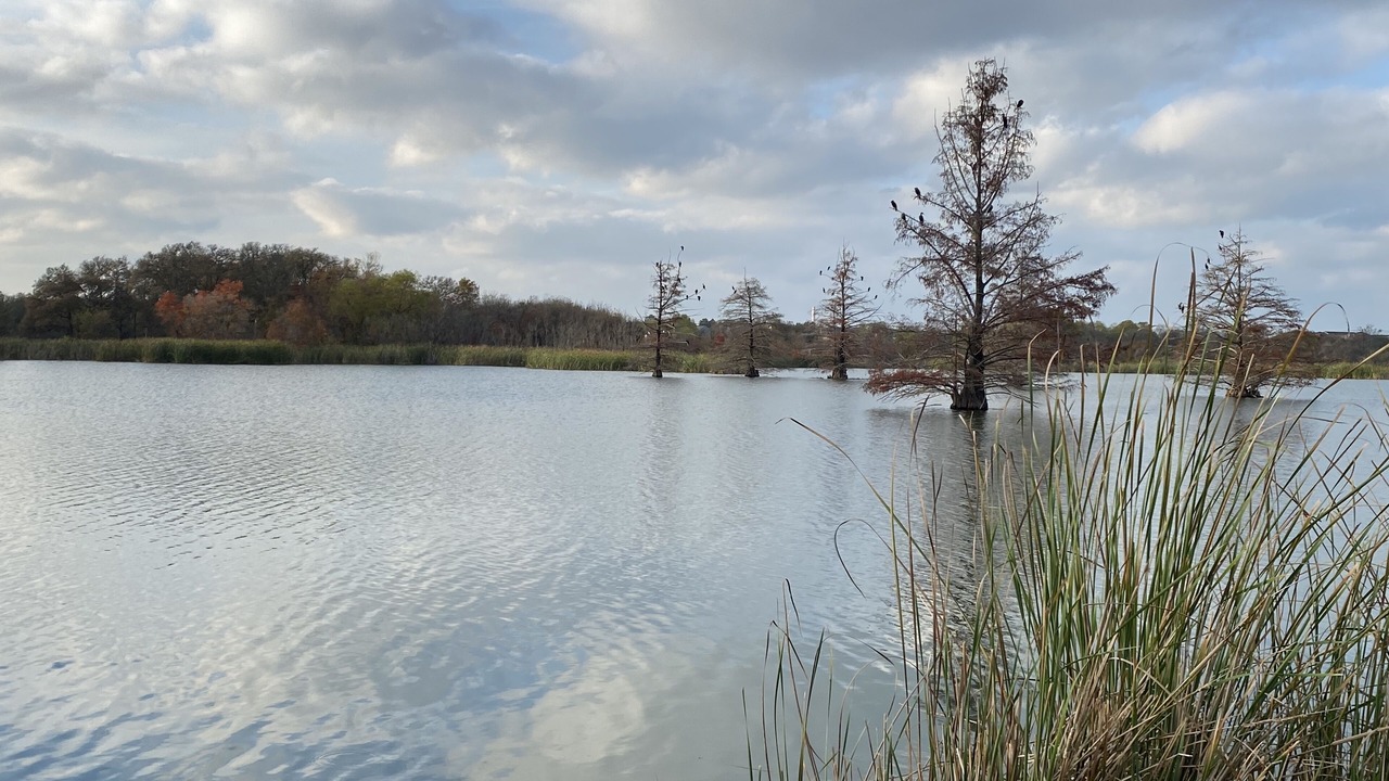 Photo of Outdoor in Buda