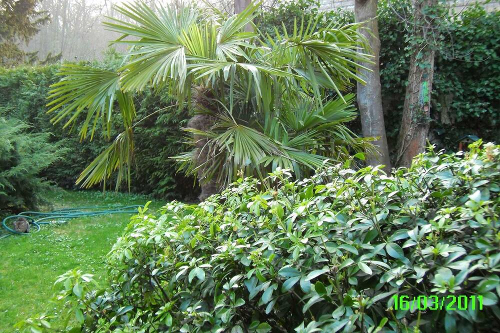 Photo of Outdoor in Ville-d'Avray