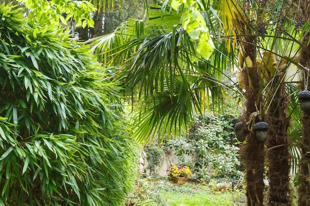 Photo of Outdoor in Ville-d'Avray