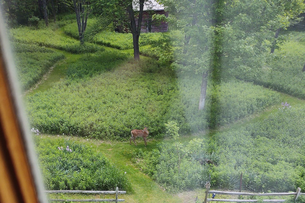 Photo of Others in Williamstown