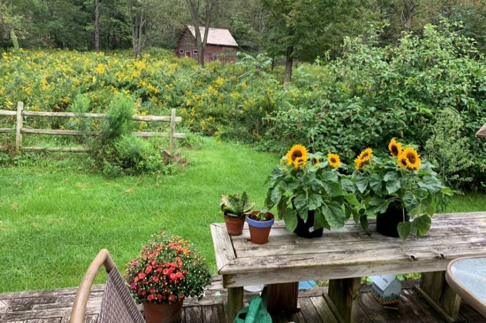 Photo of Others in Williamstown