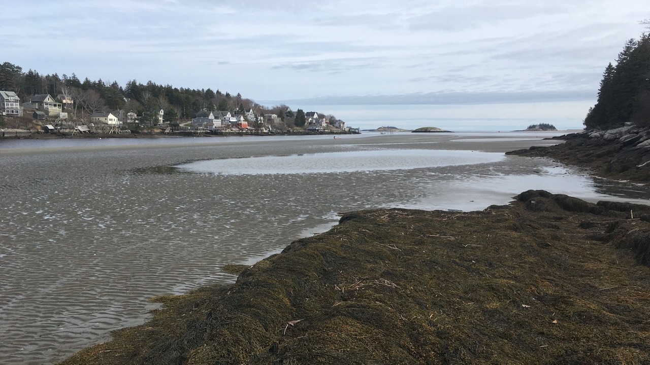 Photo of Others in Georgetown