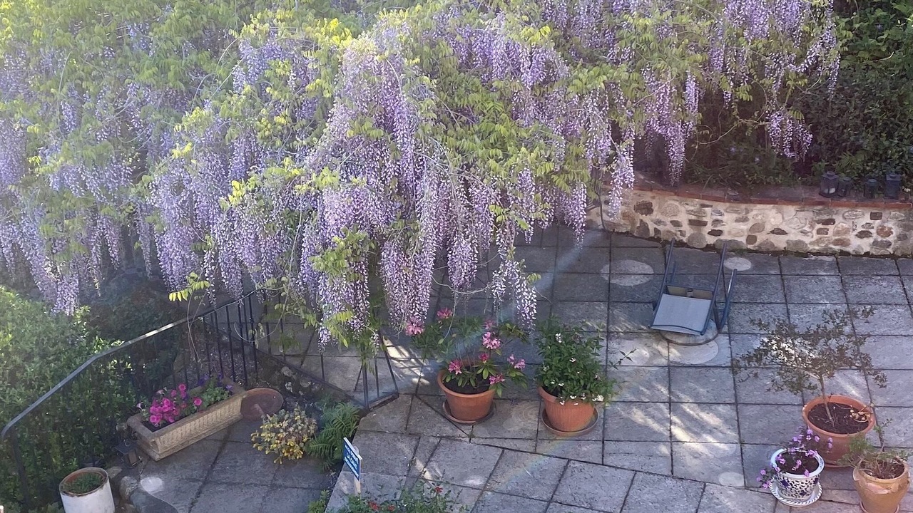 Photo of Outdoor in Reynes
