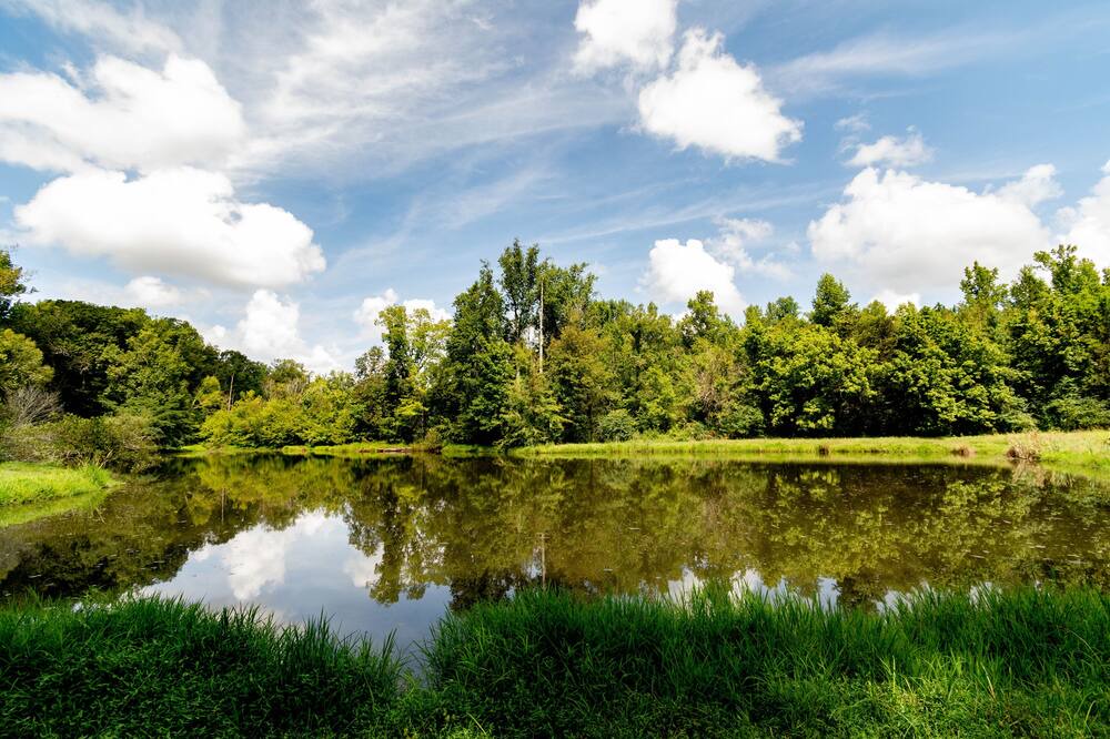 Photo of Outdoor in Adairsville