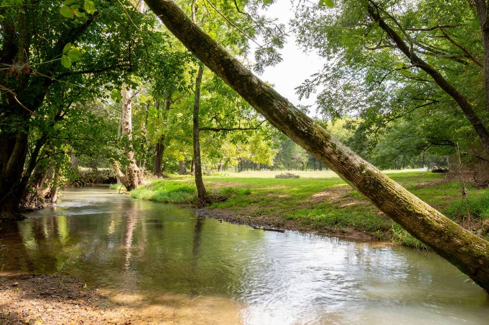 Photo of Outdoor in Adairsville