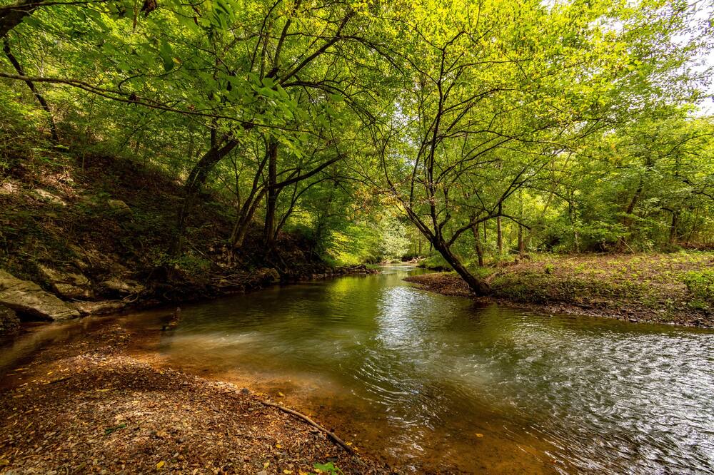 Photo of Outdoor in Adairsville