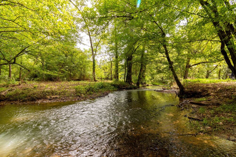 Photo of Outdoor in Adairsville