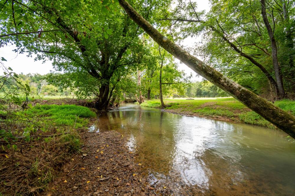 Photo of Outdoor in Adairsville