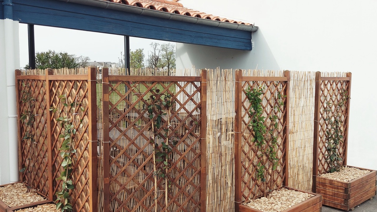 Photo of Outdoor in Les Brouzils