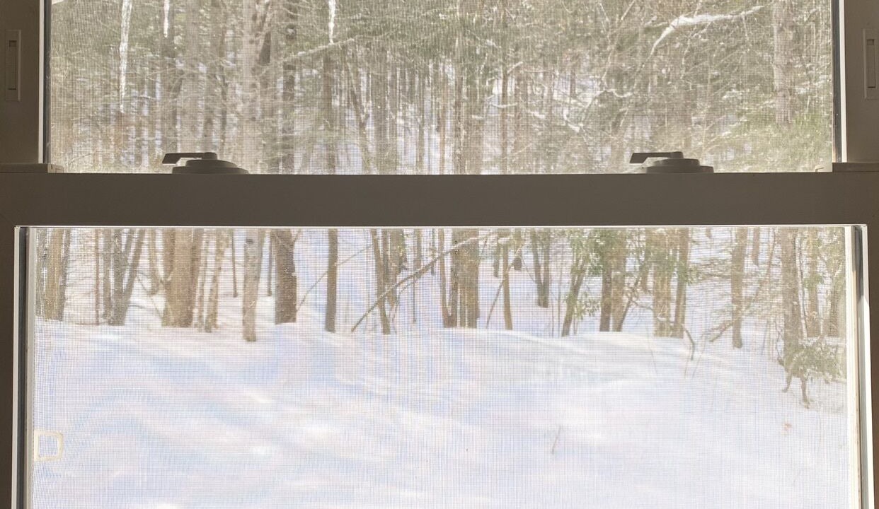 Photo of Others in Downsville