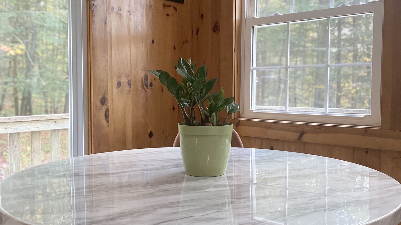 Photo of Others in Downsville