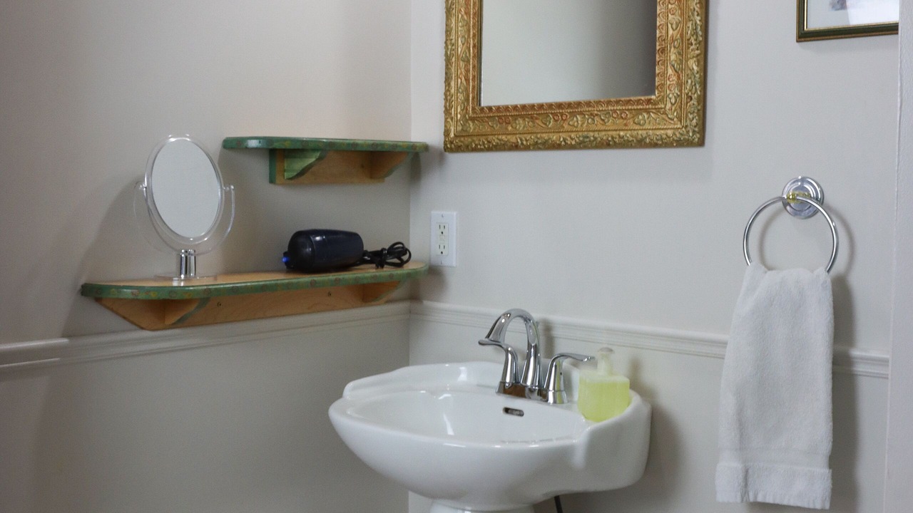 Photo of Bathroom in Boischatel