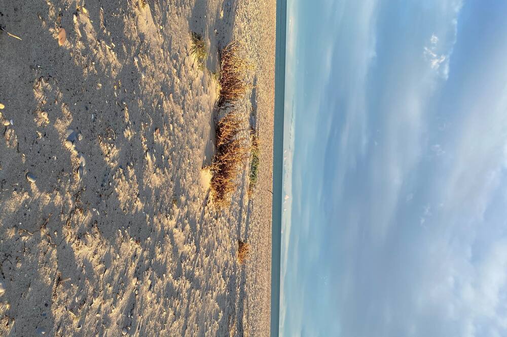 Photo of Others in Almarda