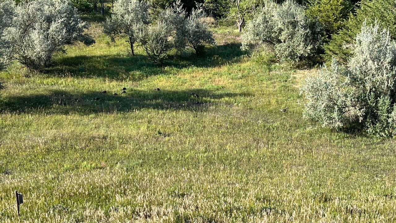 Photo of Outdoor in Niobrara