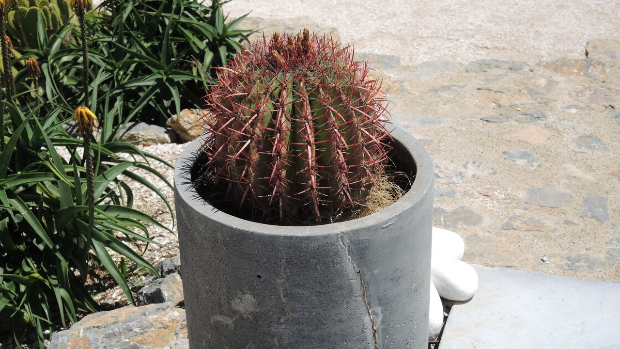 Photo of Outdoor in Fitou