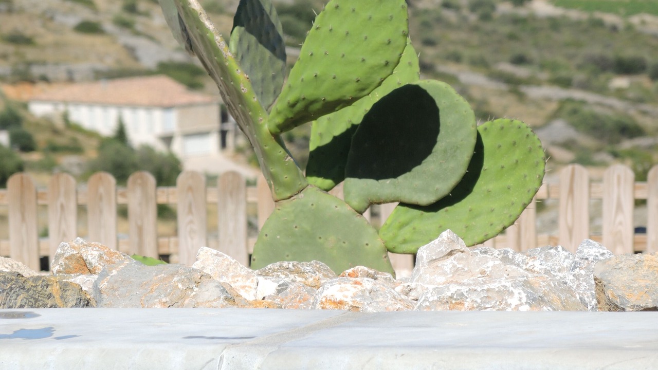 Photo of Outdoor in Fitou
